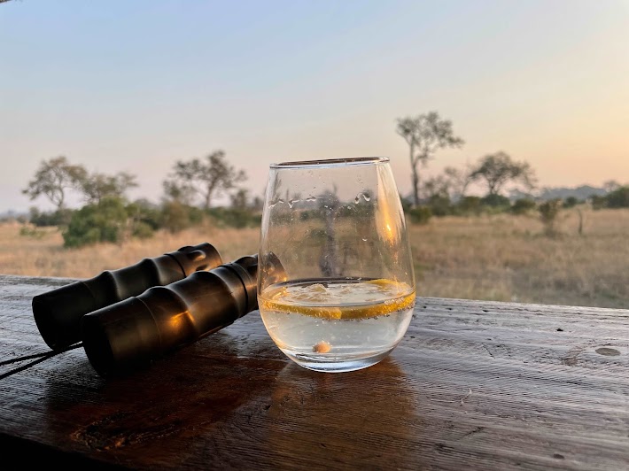 A glass of water with a lemon slice sits on a wooden surface, next to a jump rope—symbols of balance and vitality. This serene setting, with sparse trees and a pastel sky at dusk, inspires thoughts of personal growth and development.